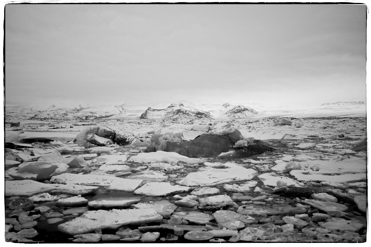 L1008444.jpg