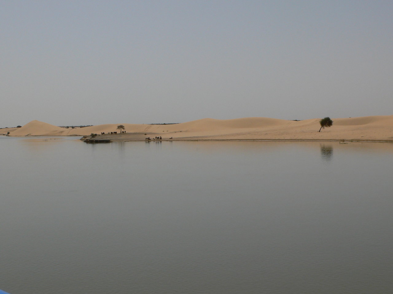 L1020180.JPG