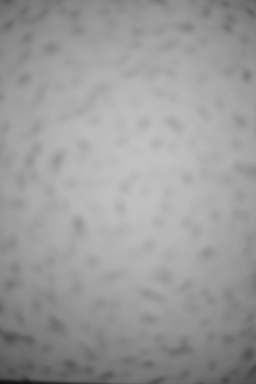 L1030950.JPG
