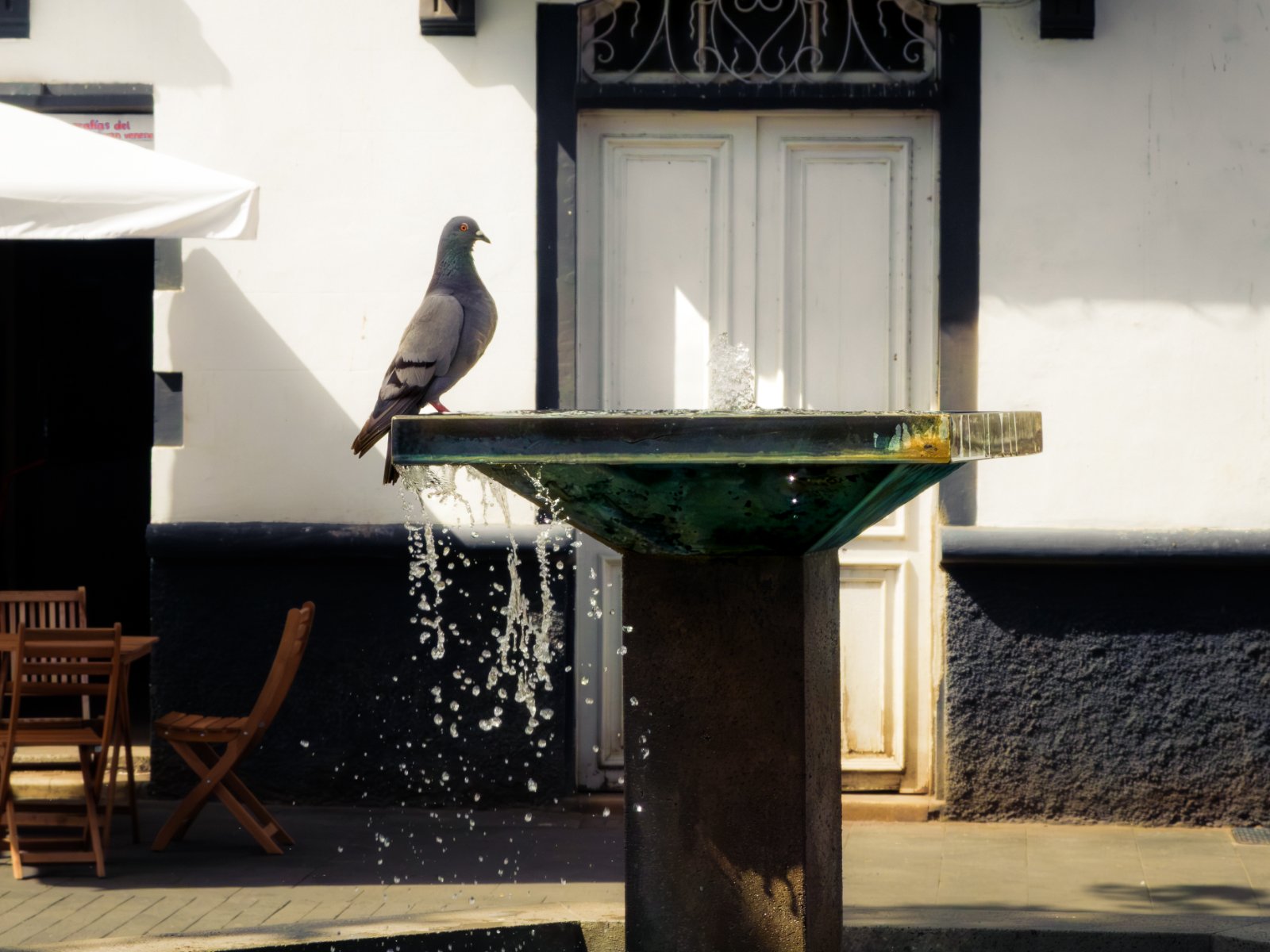 La Laguna X20-23.jpg
