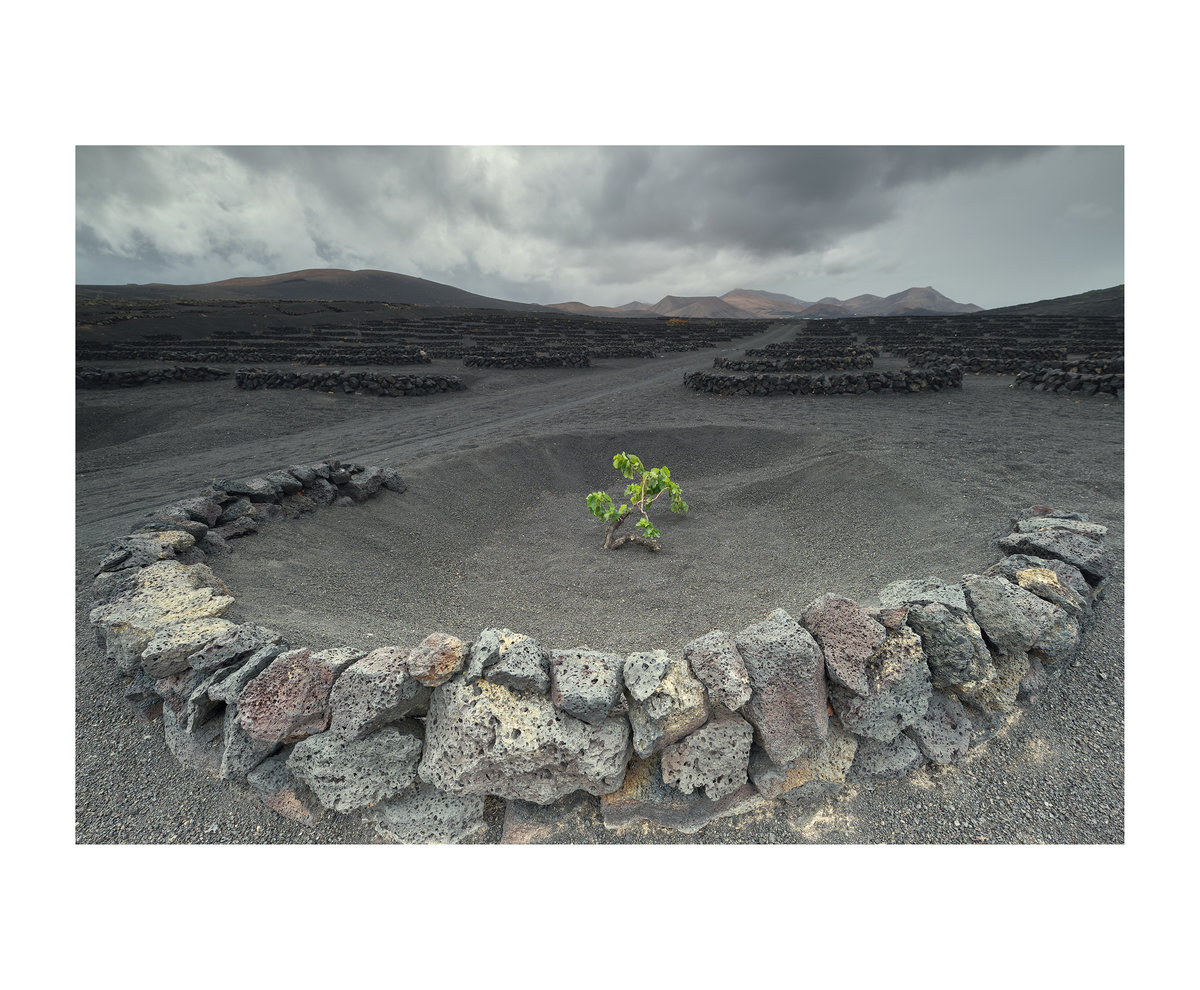 Lanzarote_DSF2857-2.jpg