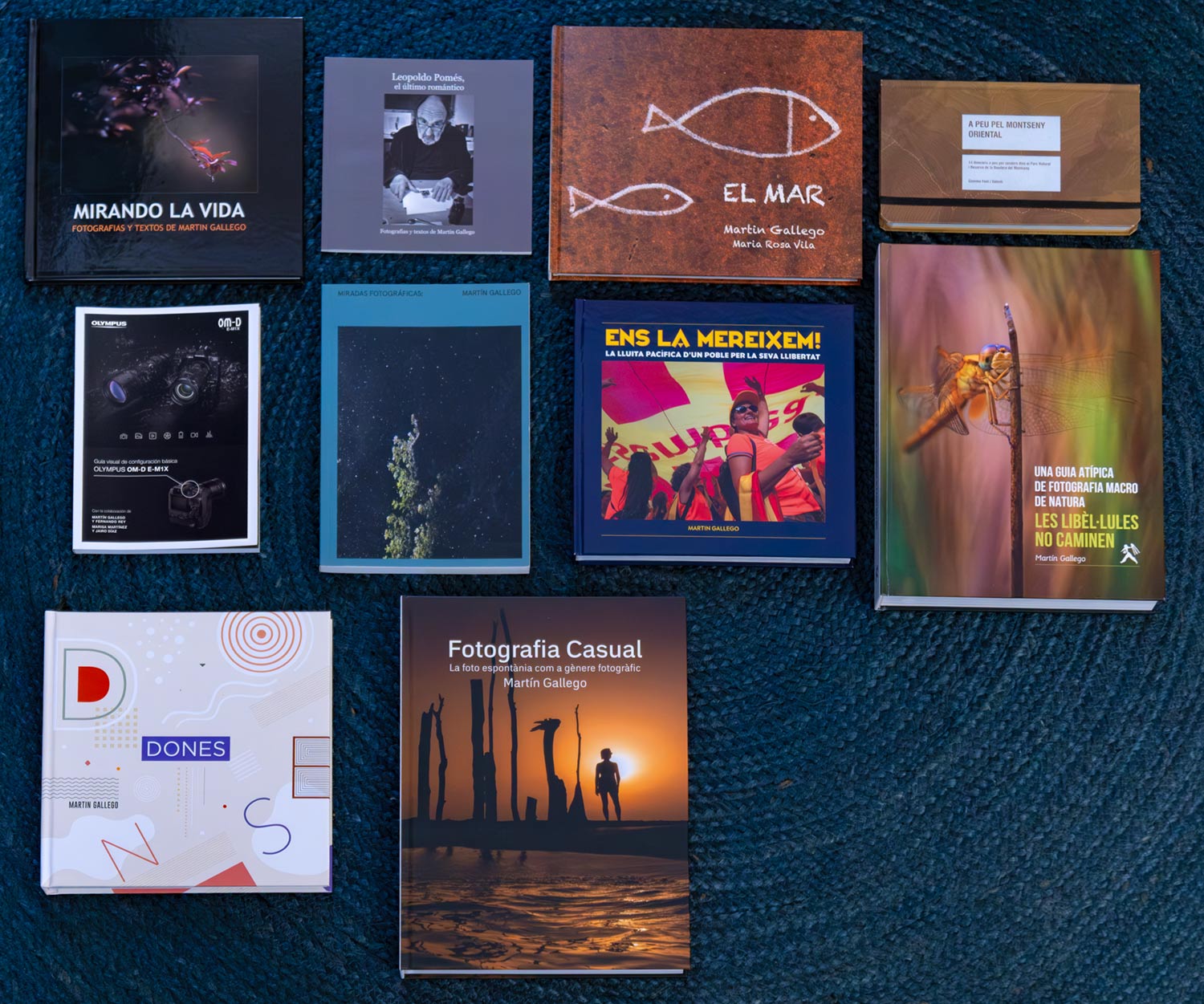 Llibres_DSF0651F.jpg
