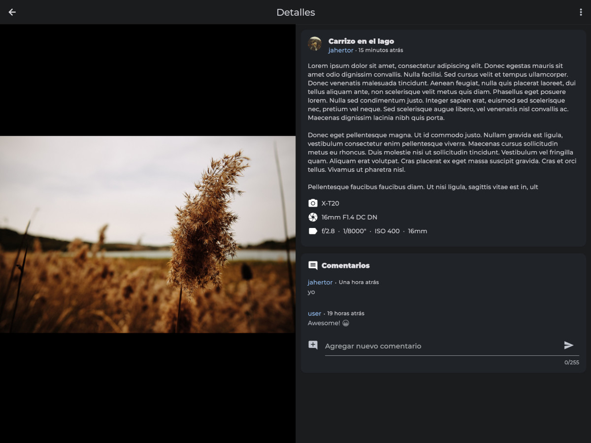 localhost_56460_(iPad Pro) (3).jpg