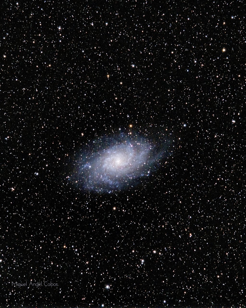 M33-RGB-session_1-lpc-cbg-St-rt-Vc.jpg
