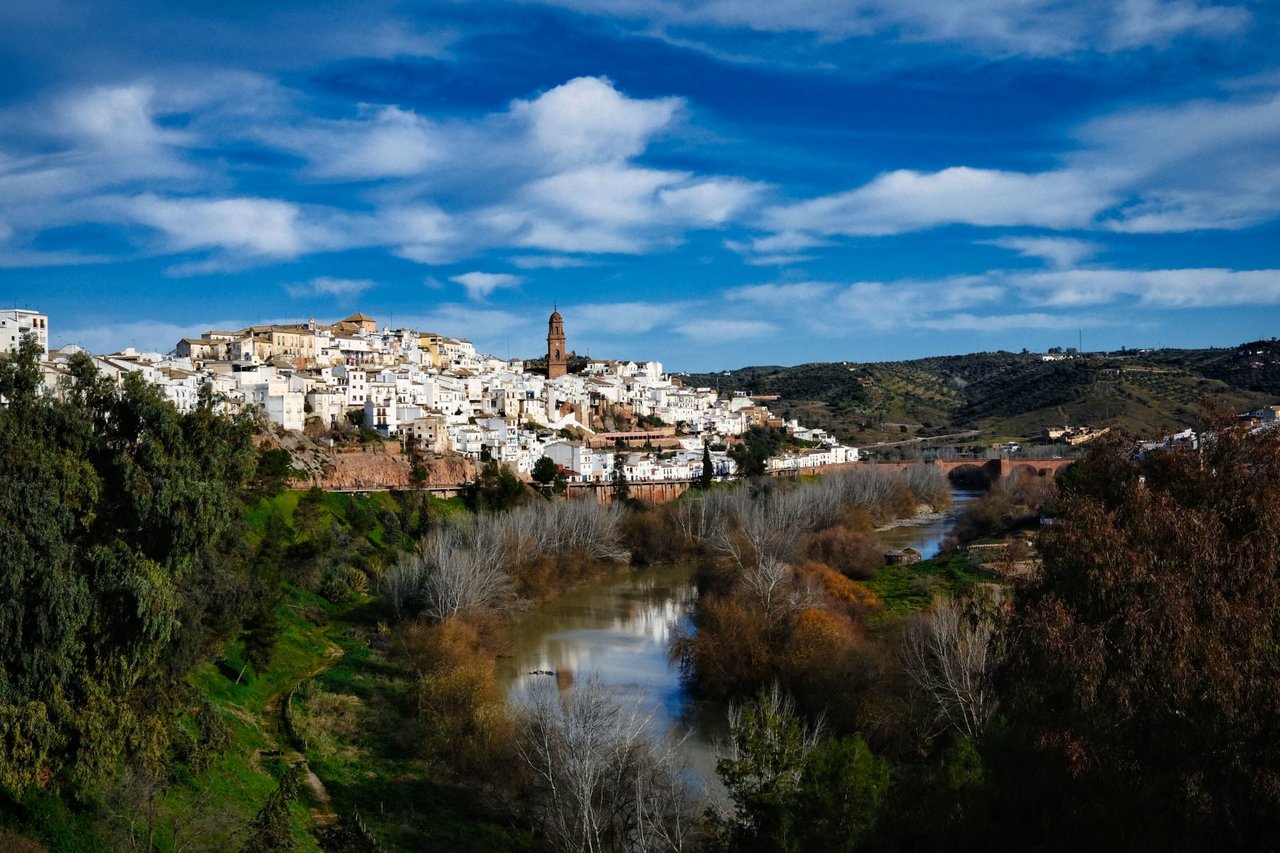 Montoro reducidav2.jpg