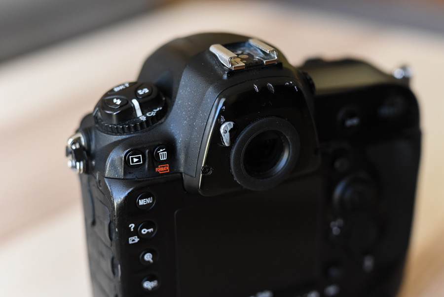 Nikon D4s-4.jpg