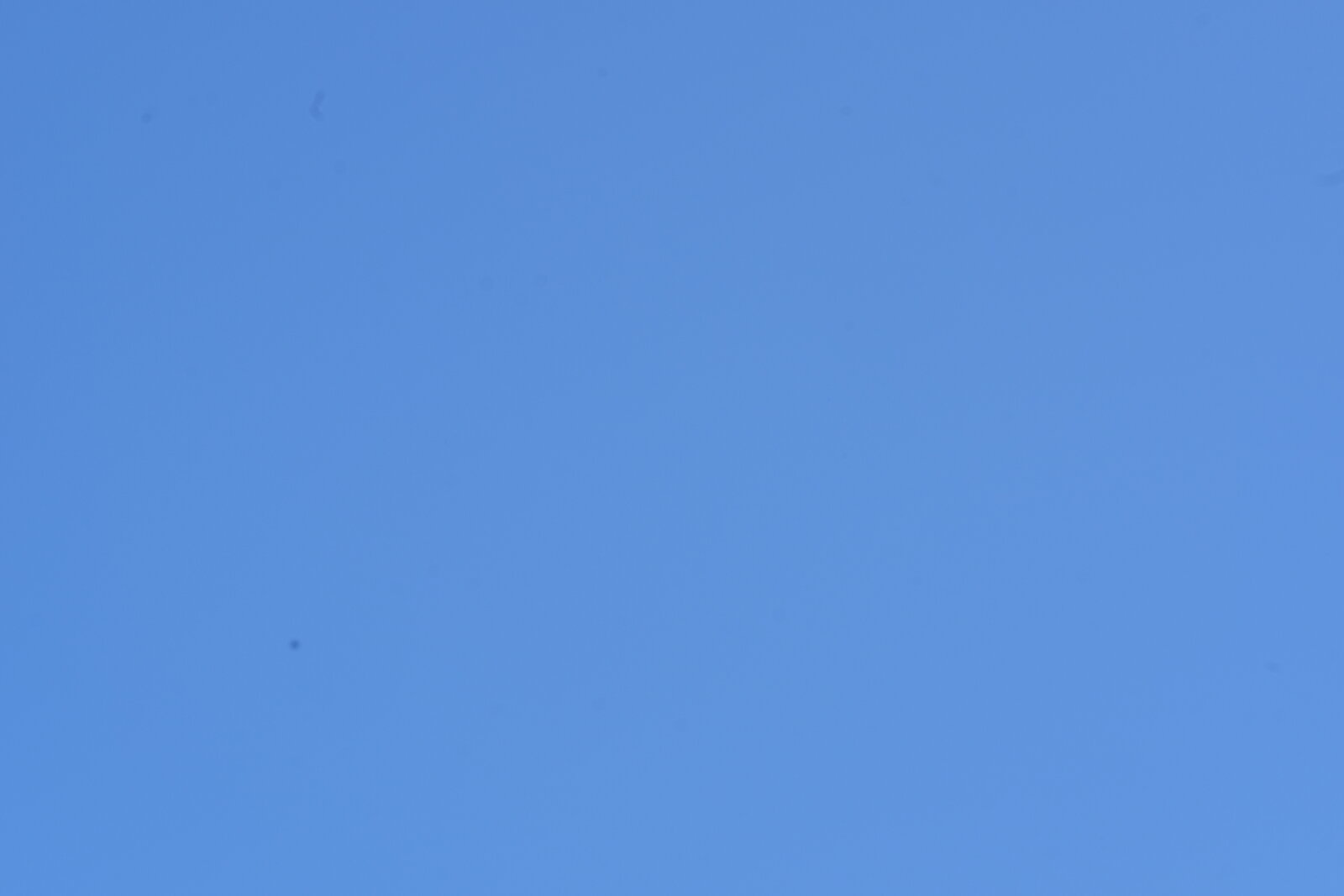 NONO2658.JPG