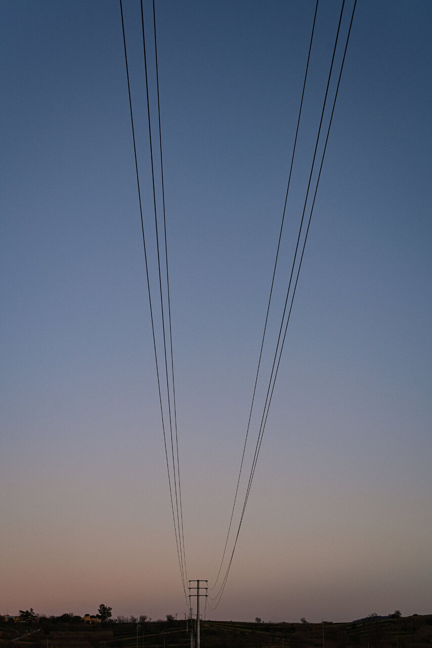 NZF_3391_S5.jpg