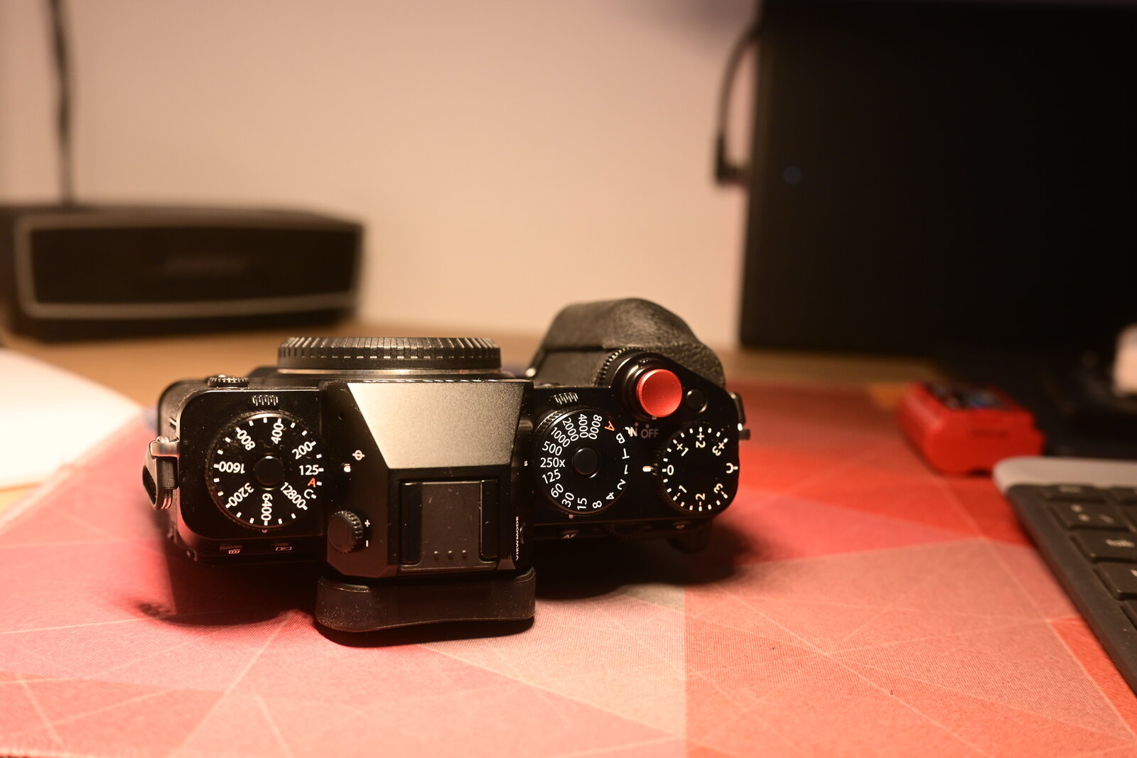 NZF_5065.JPG