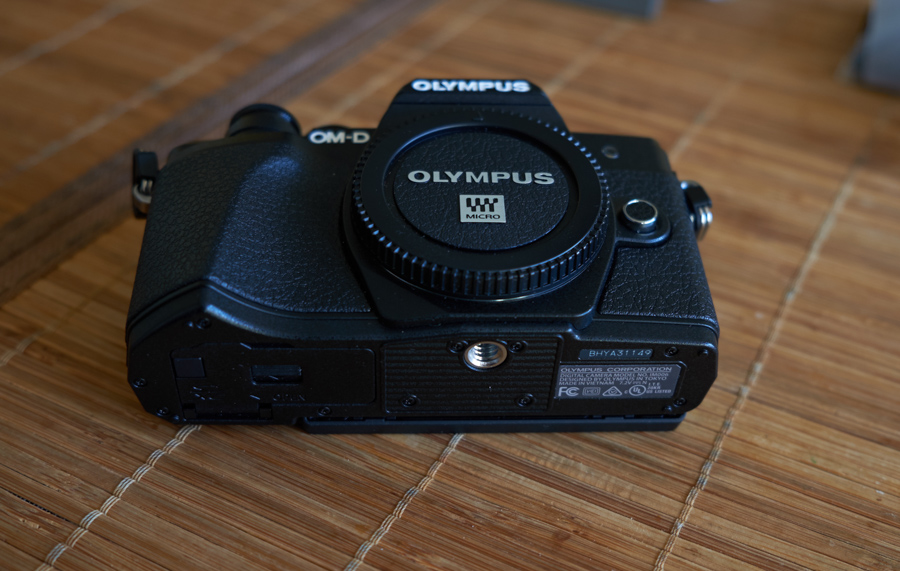 oly cuerpo 04-2.jpg