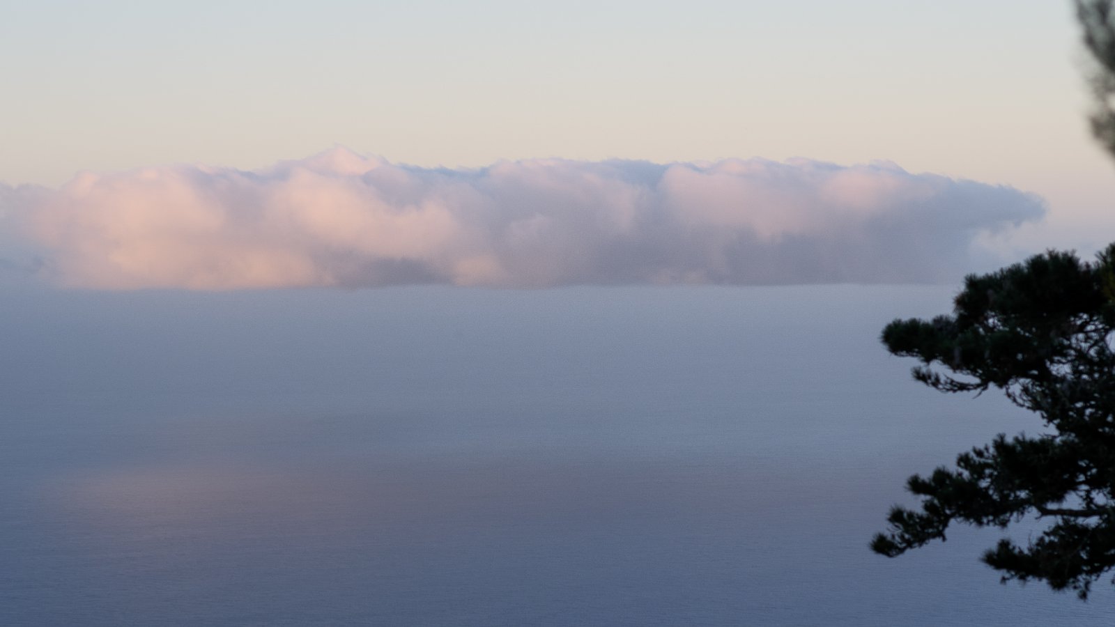 Olympus OM 85mm f2 - 102025-11.jpg