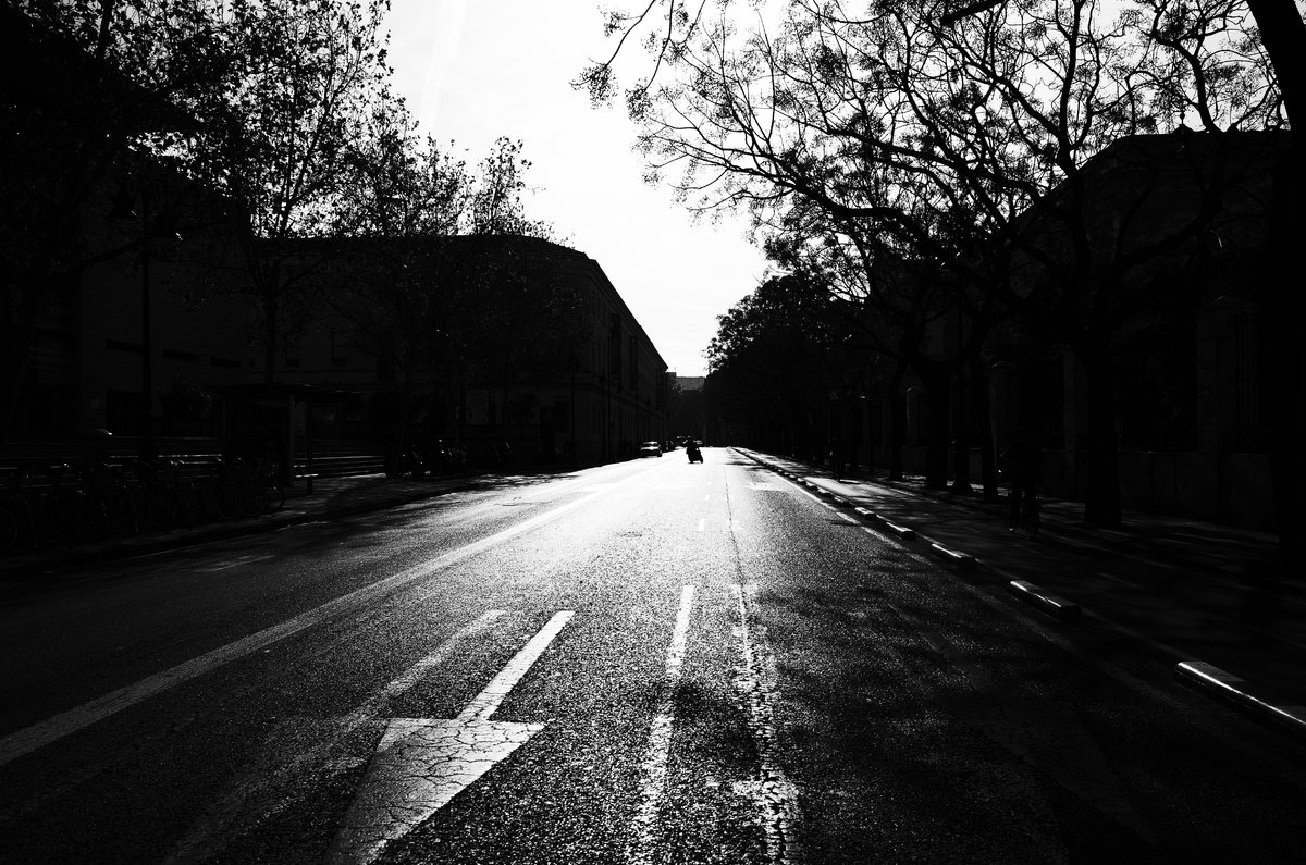 P0030977.JPG