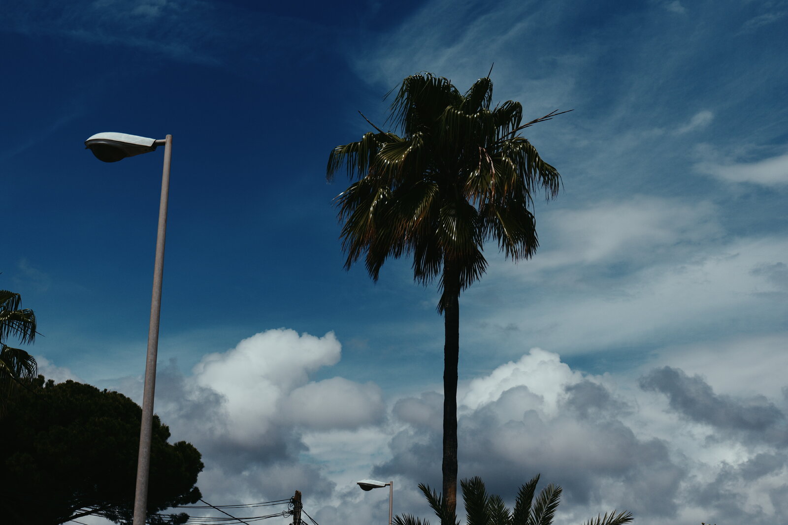 P1000017.JPG