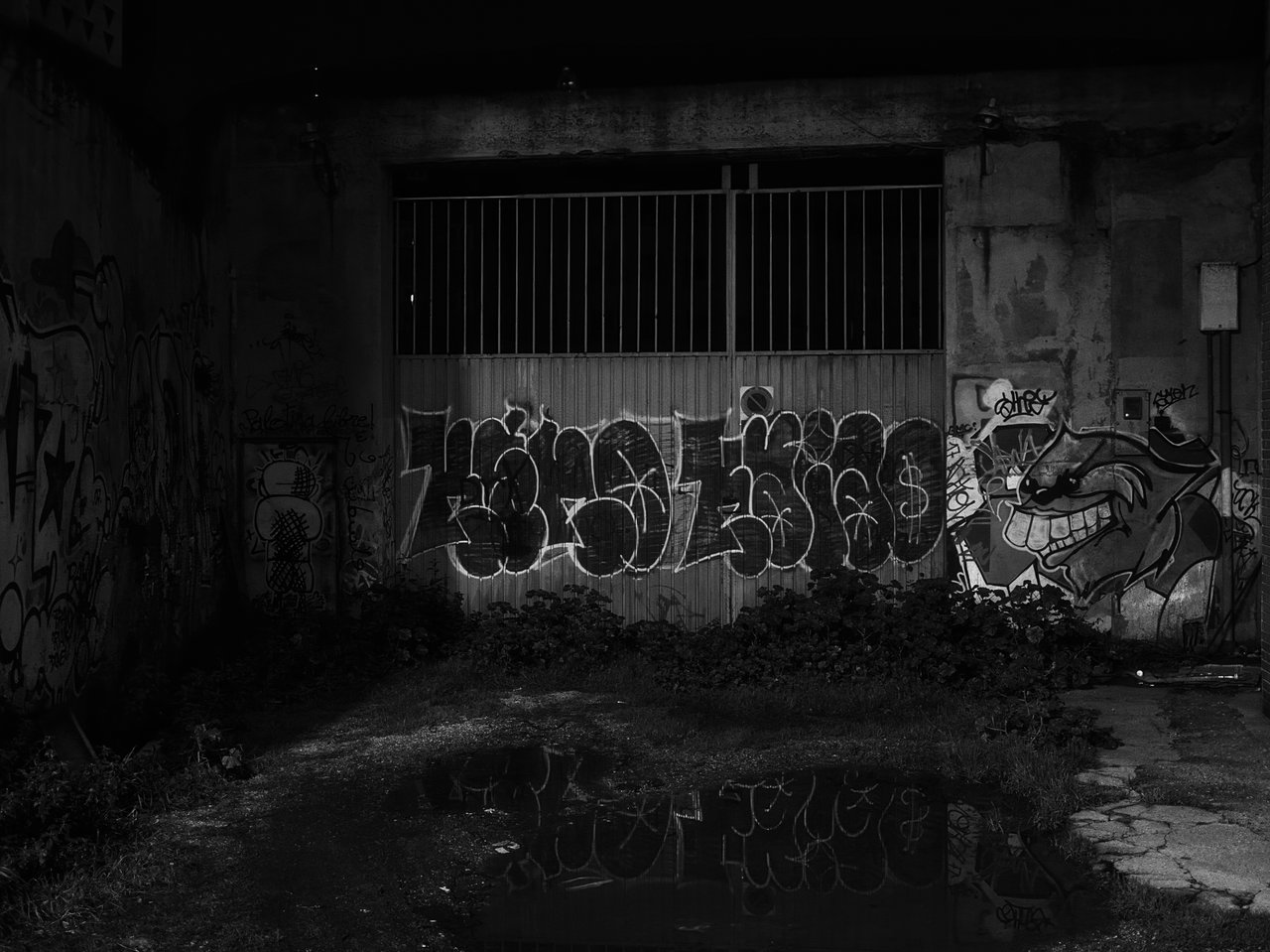 P1023307_ed bn_baja.jpg
