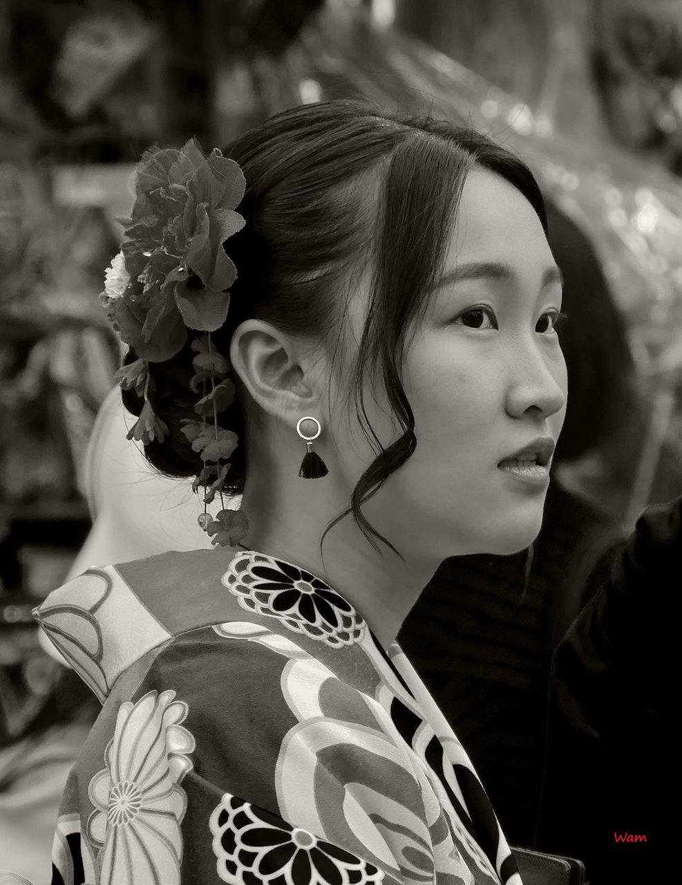 P1160778 ps01.jpg