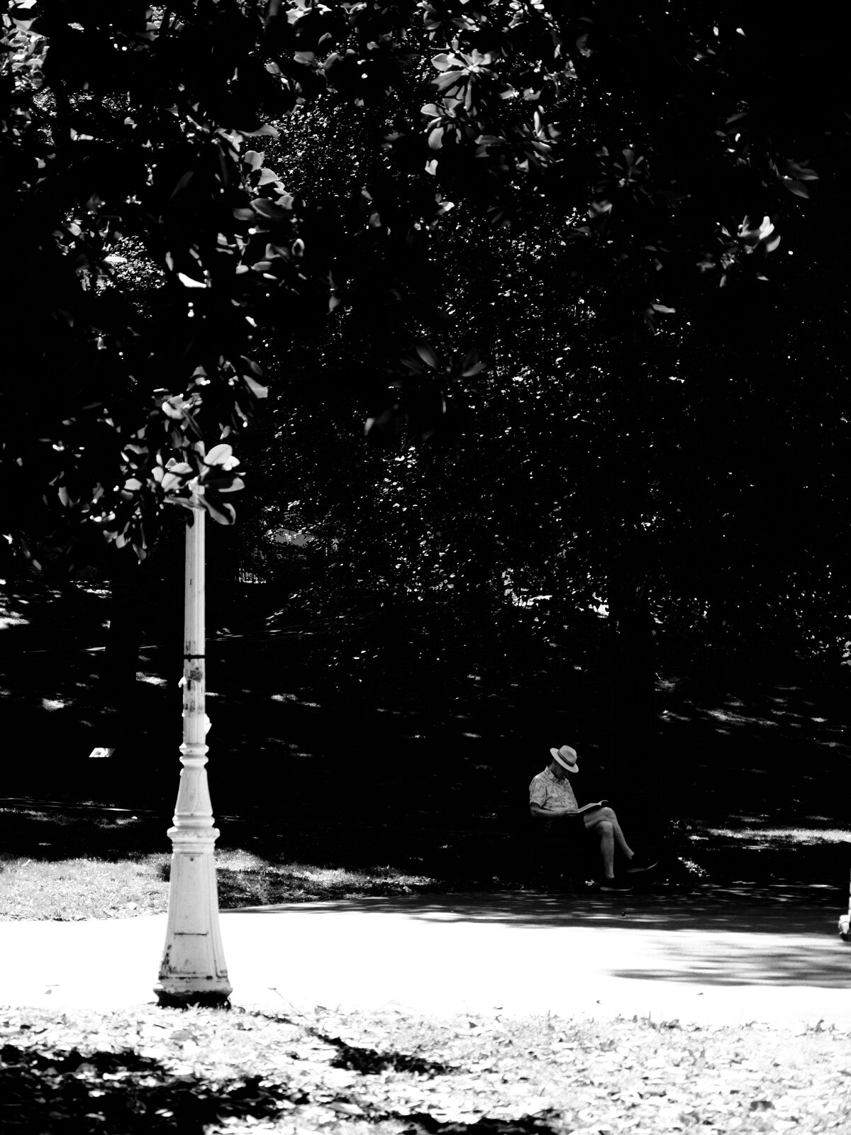 P7110283.jpeg