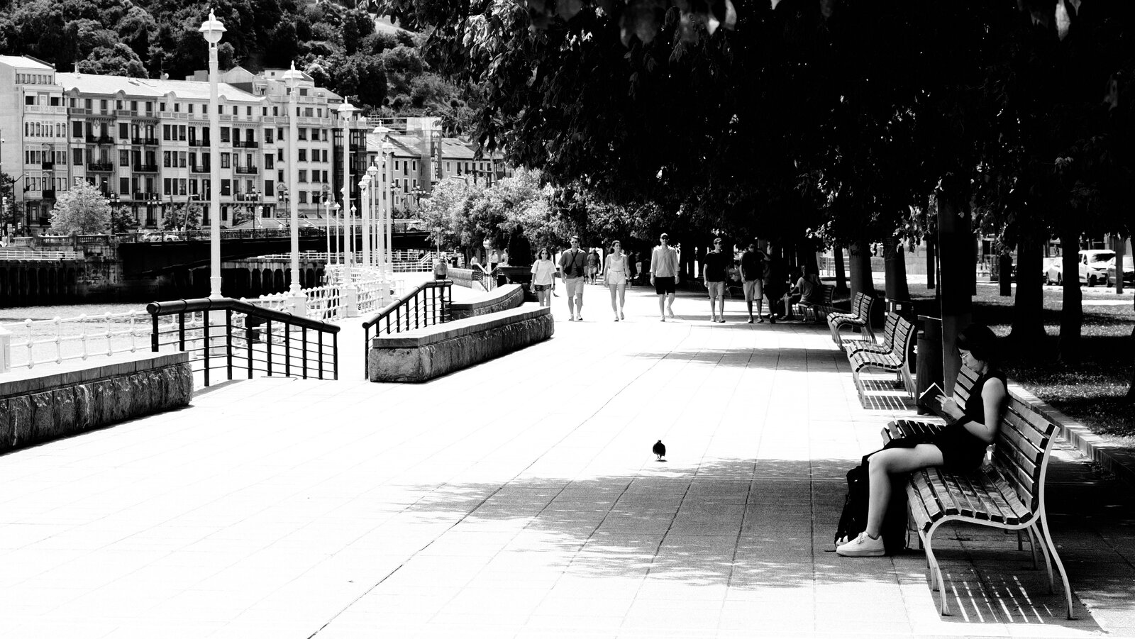 P7120313.jpeg
