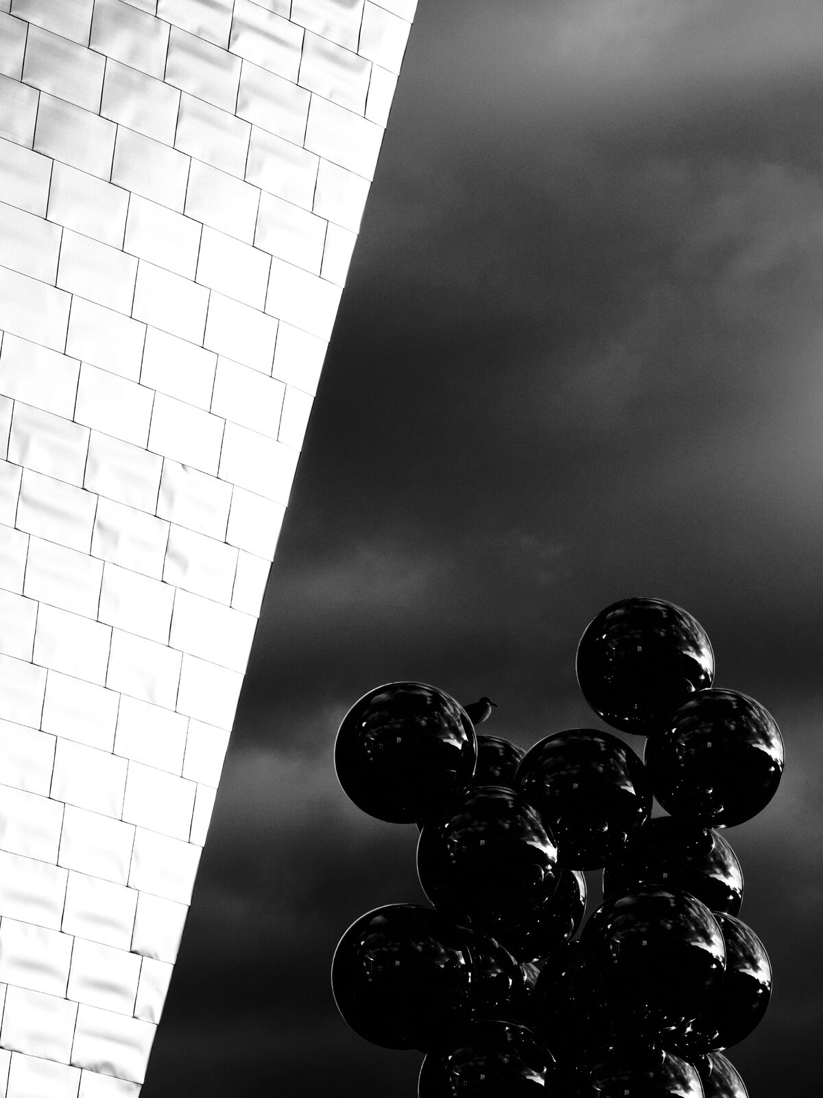 P8010306.JPG