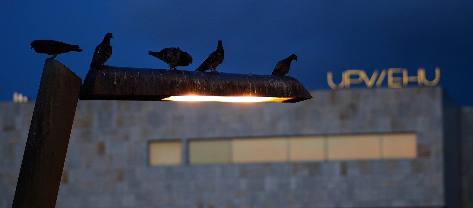 P8010346.jpg