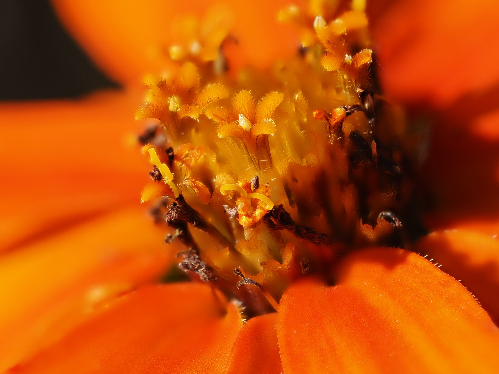 P9160147.JPG
