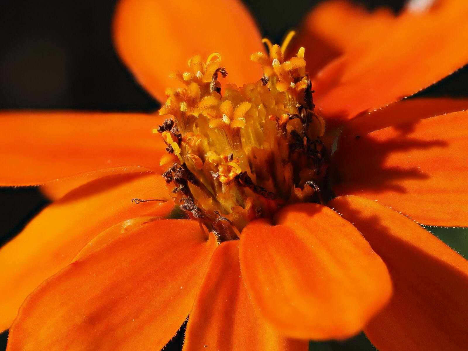 P9160163.JPG