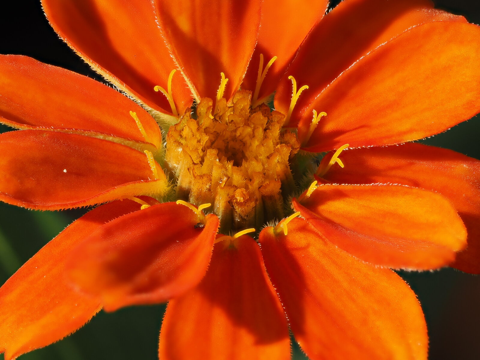 P9160197.JPG