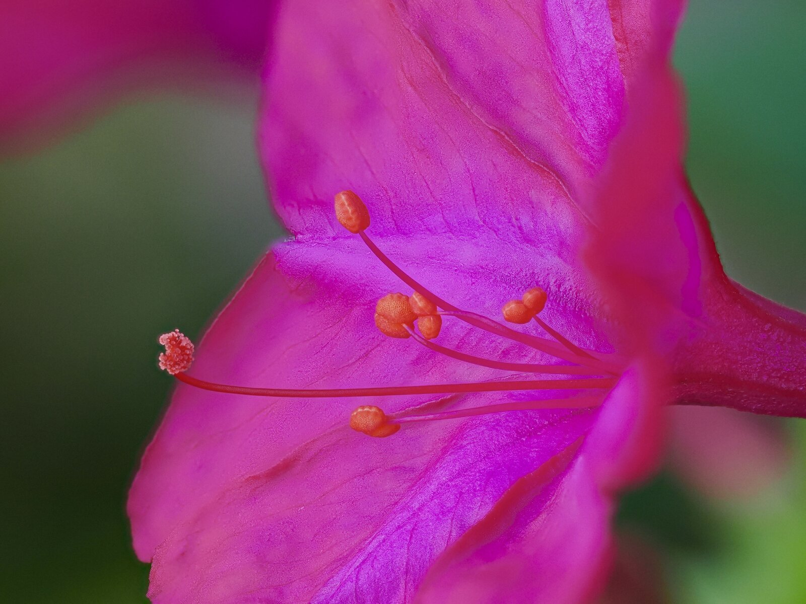 P9220335.jpg