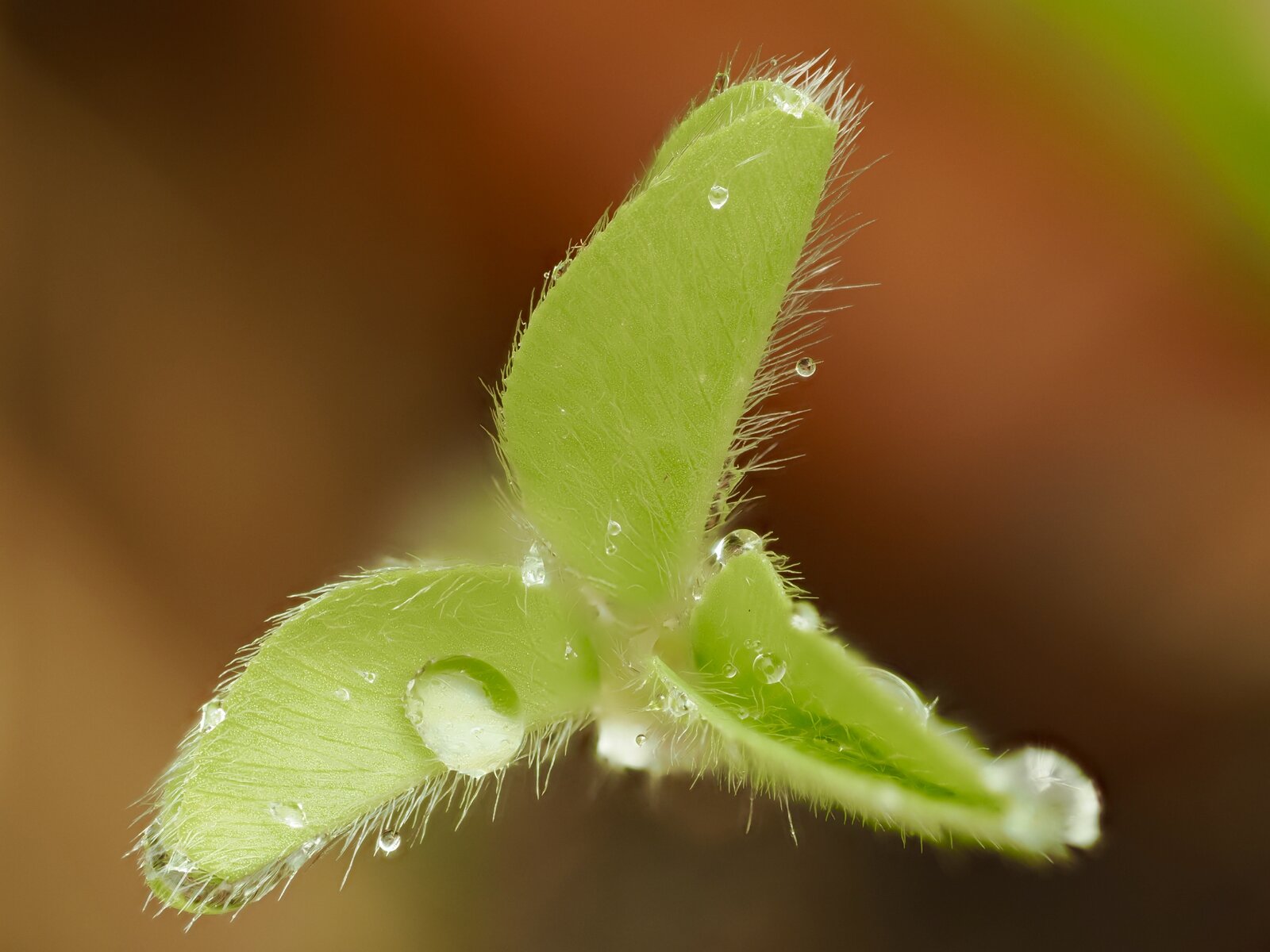 PA011046.jpg