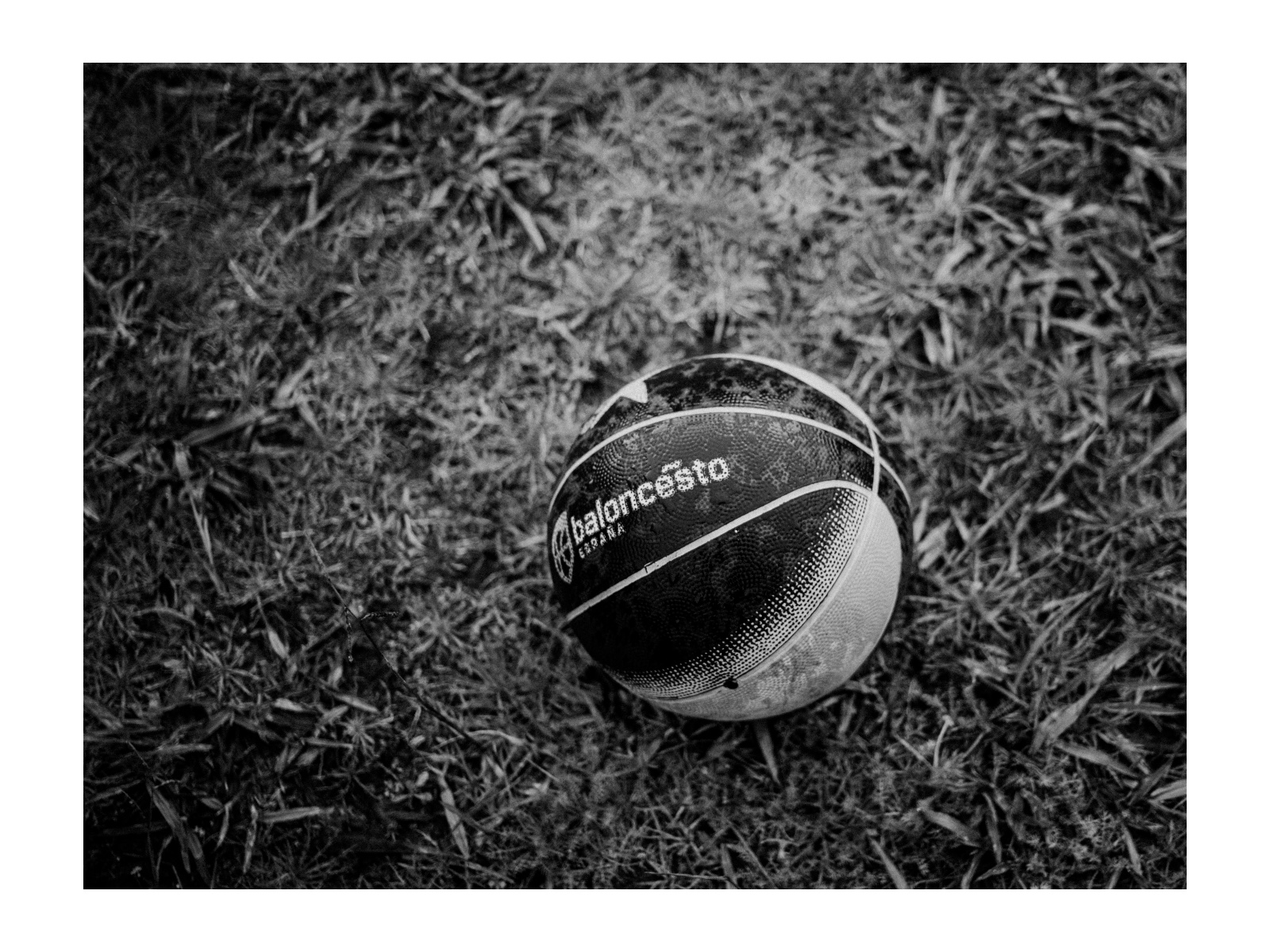 Pelota de baloncesto olvidada-1.jpeg