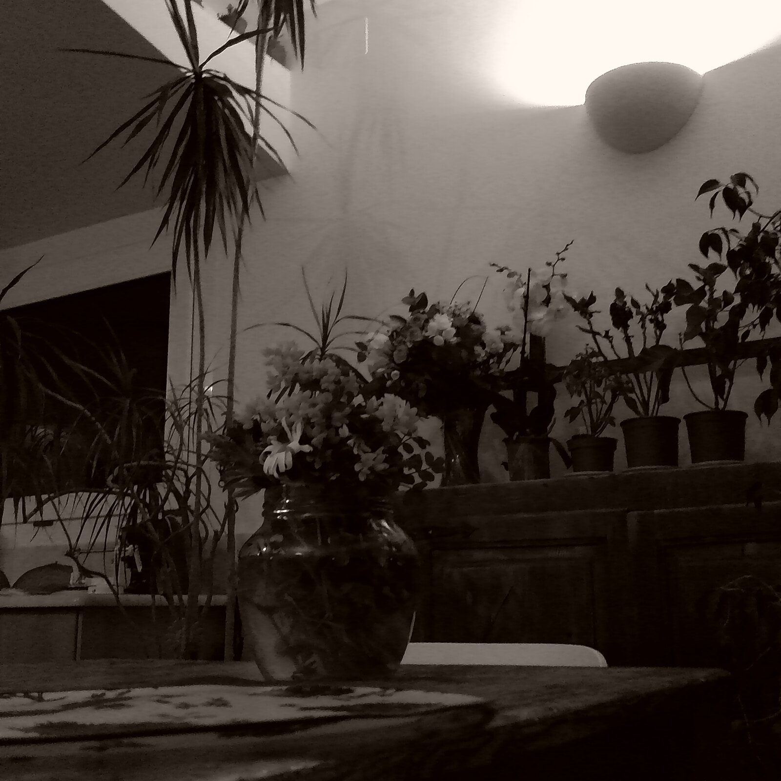 PICT0030.jpg