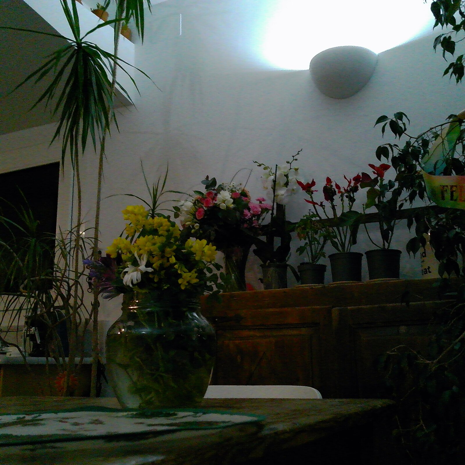 PICT0031.jpg