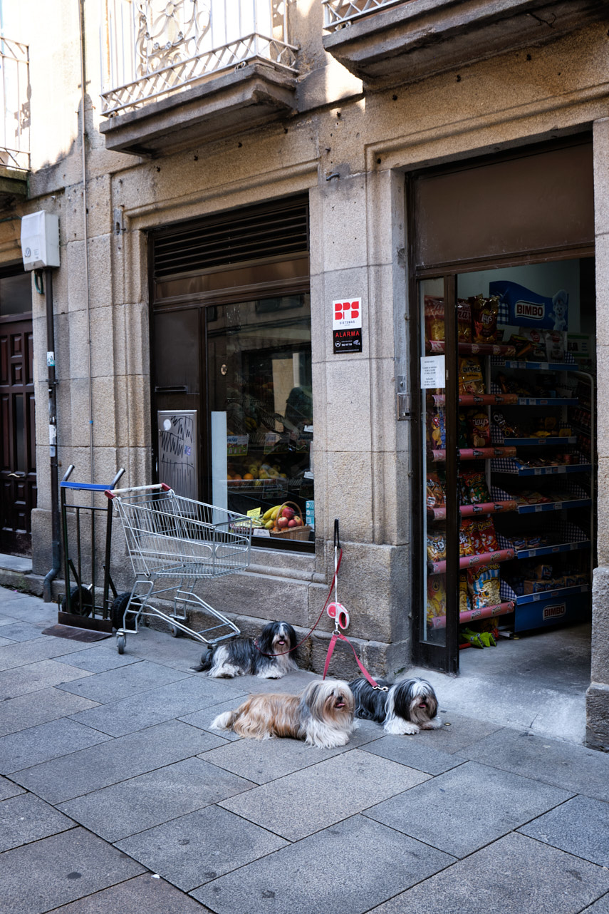 Pontevedra (4).jpg