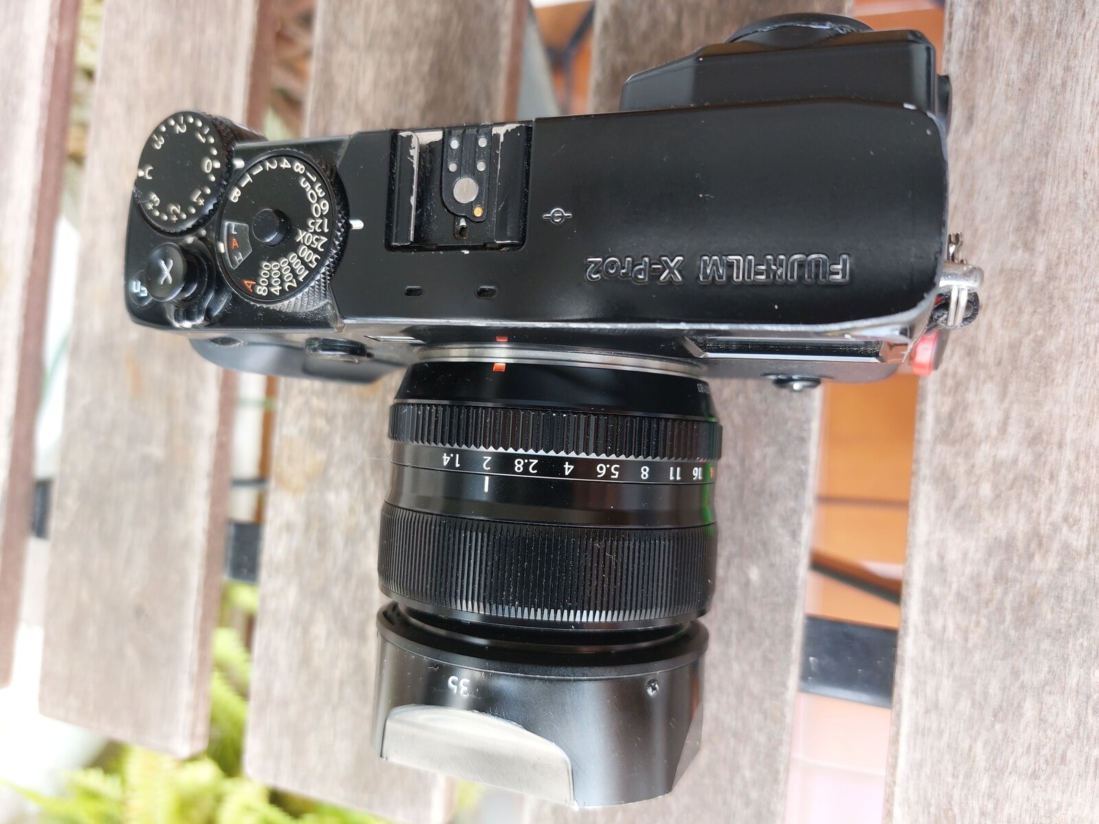 pro2 zenit.jpg