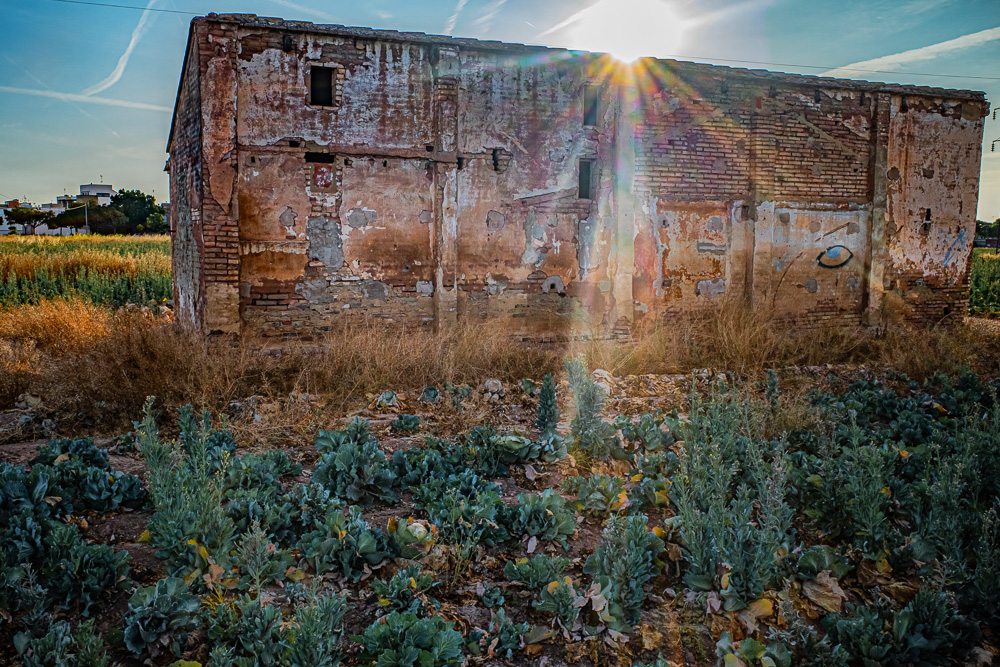 R0000733-Editar.jpg