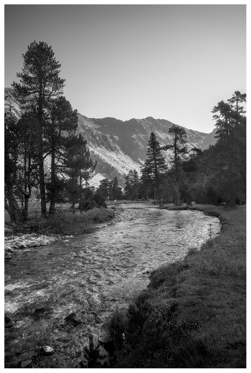 R0003235.jpg