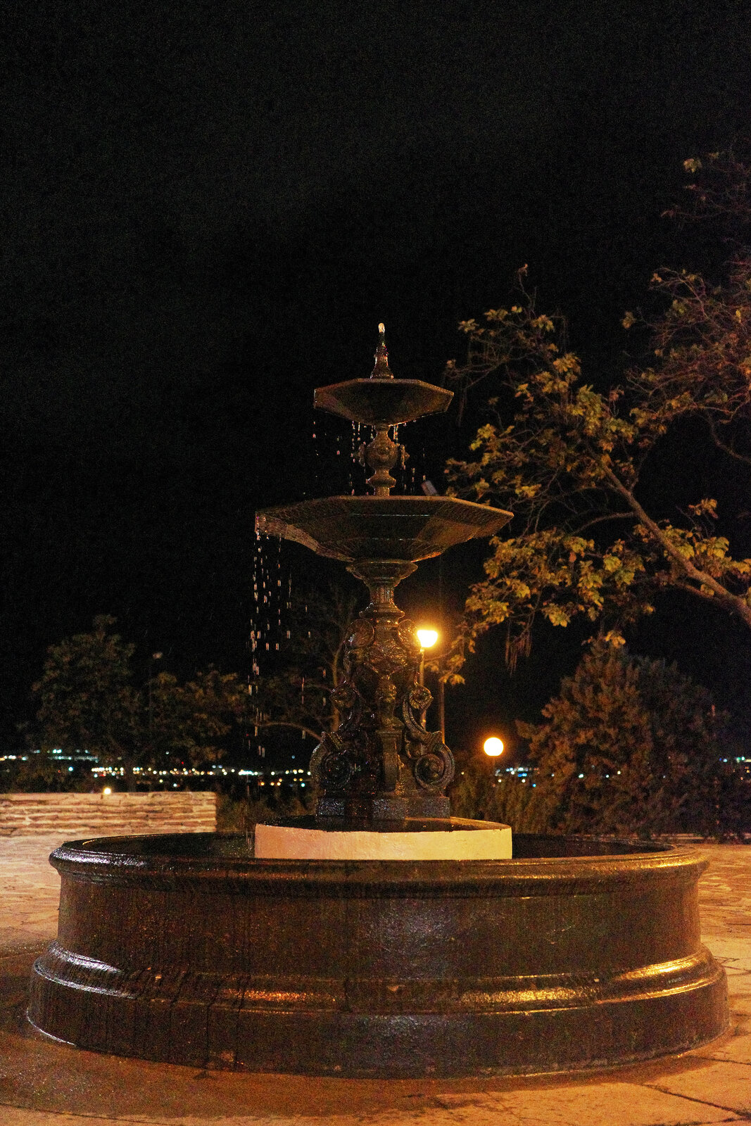 R0008178.jpg