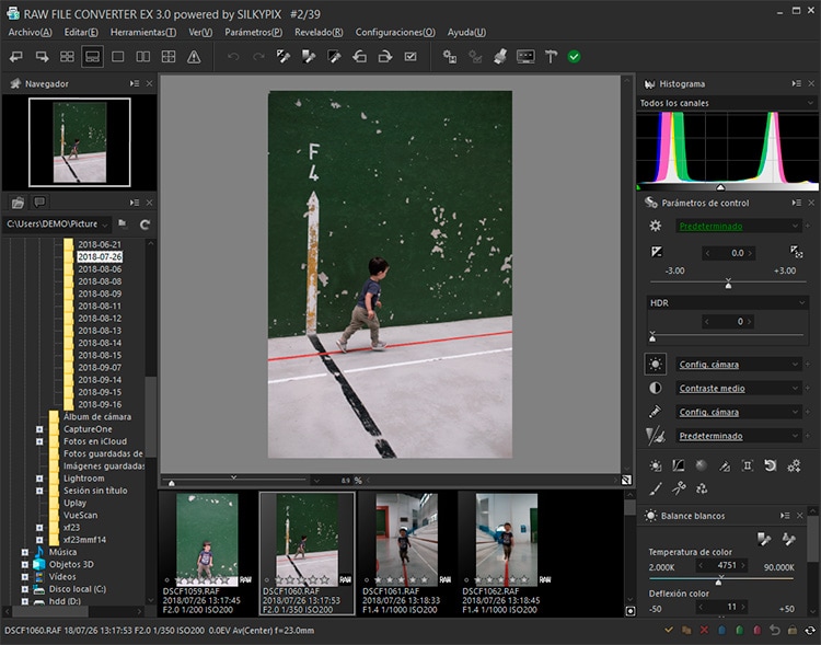 raw-file-converter-3.jpg