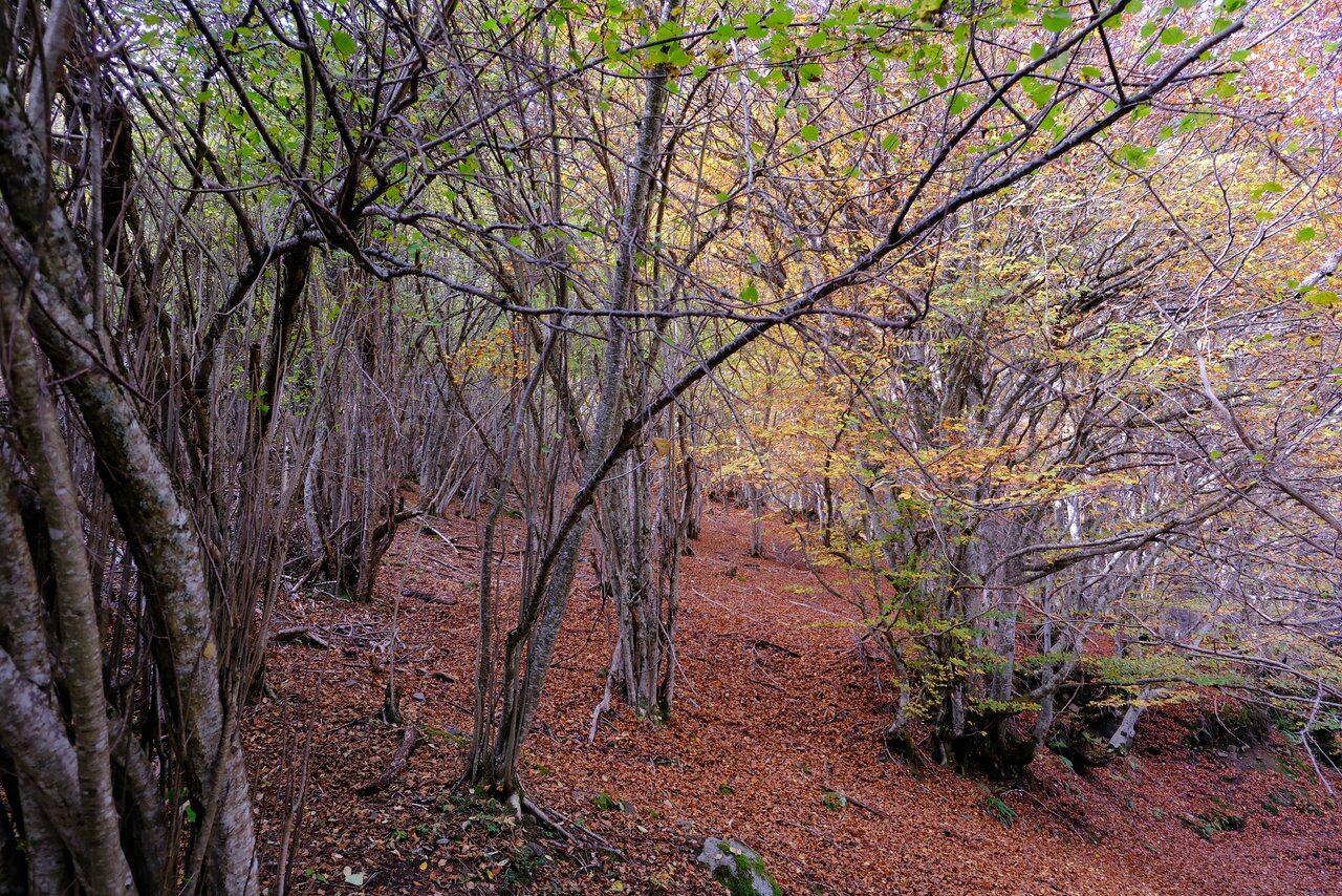 redu_DSCF6864.JPG