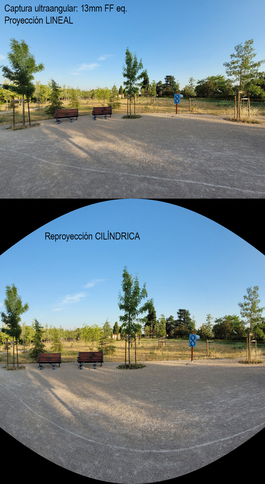 reproyeccion.jpg