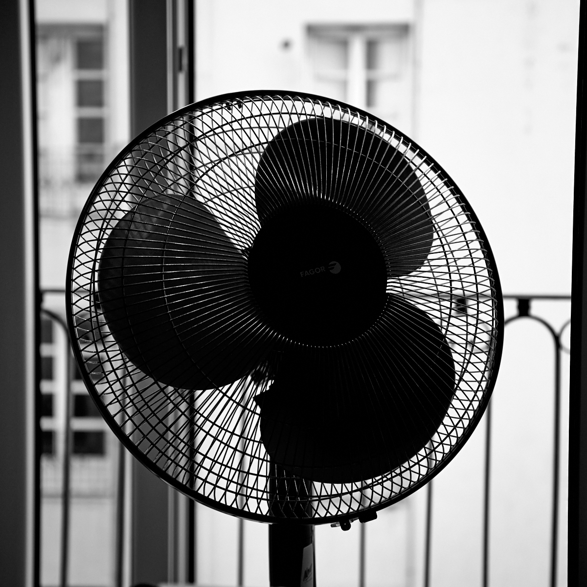reto52semana28.jpg