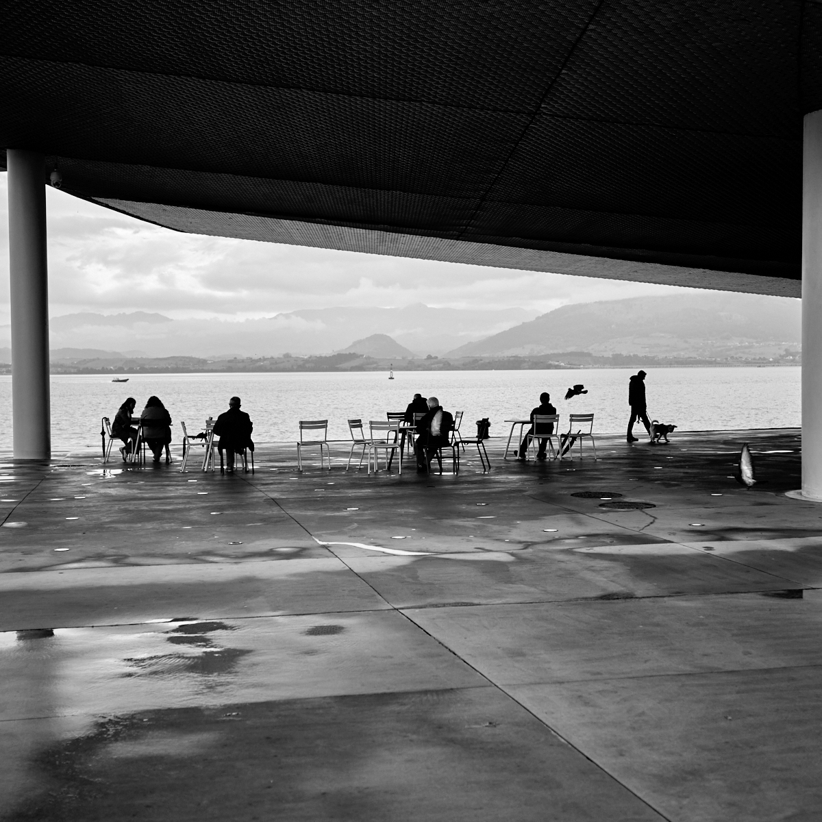 reto52semana50.jpg