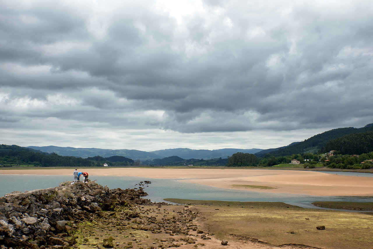 Ría de Villaviciosa (4).jpg