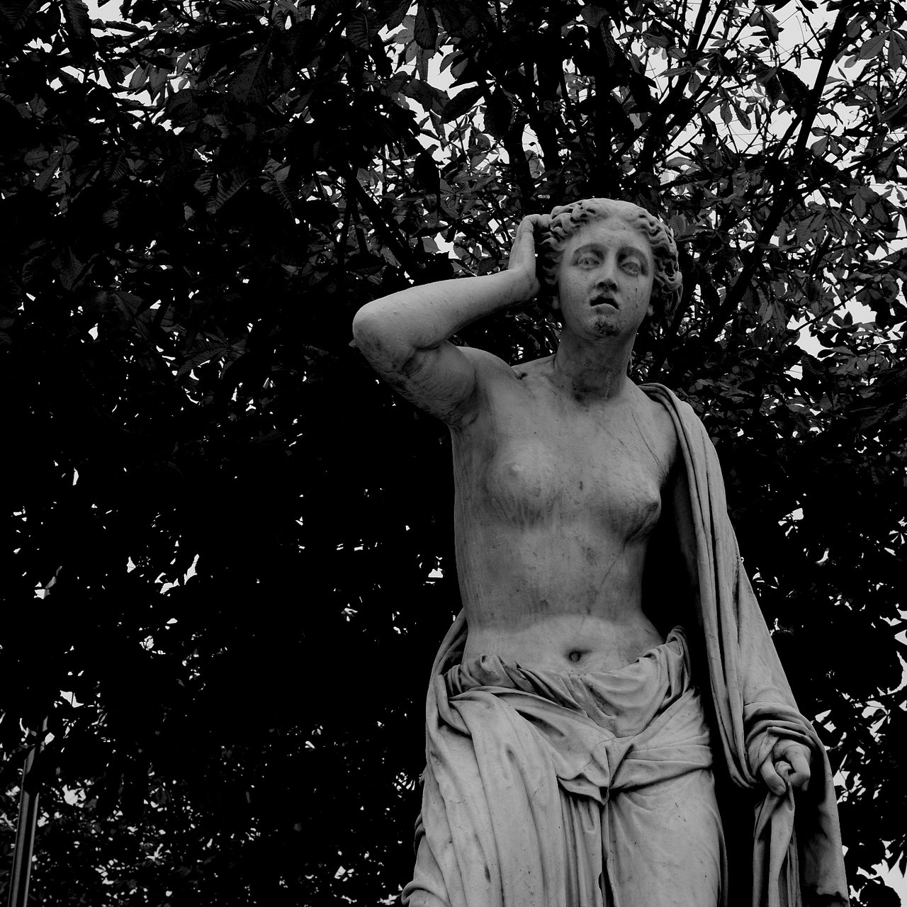 S06 DSCF9342fs.JPG