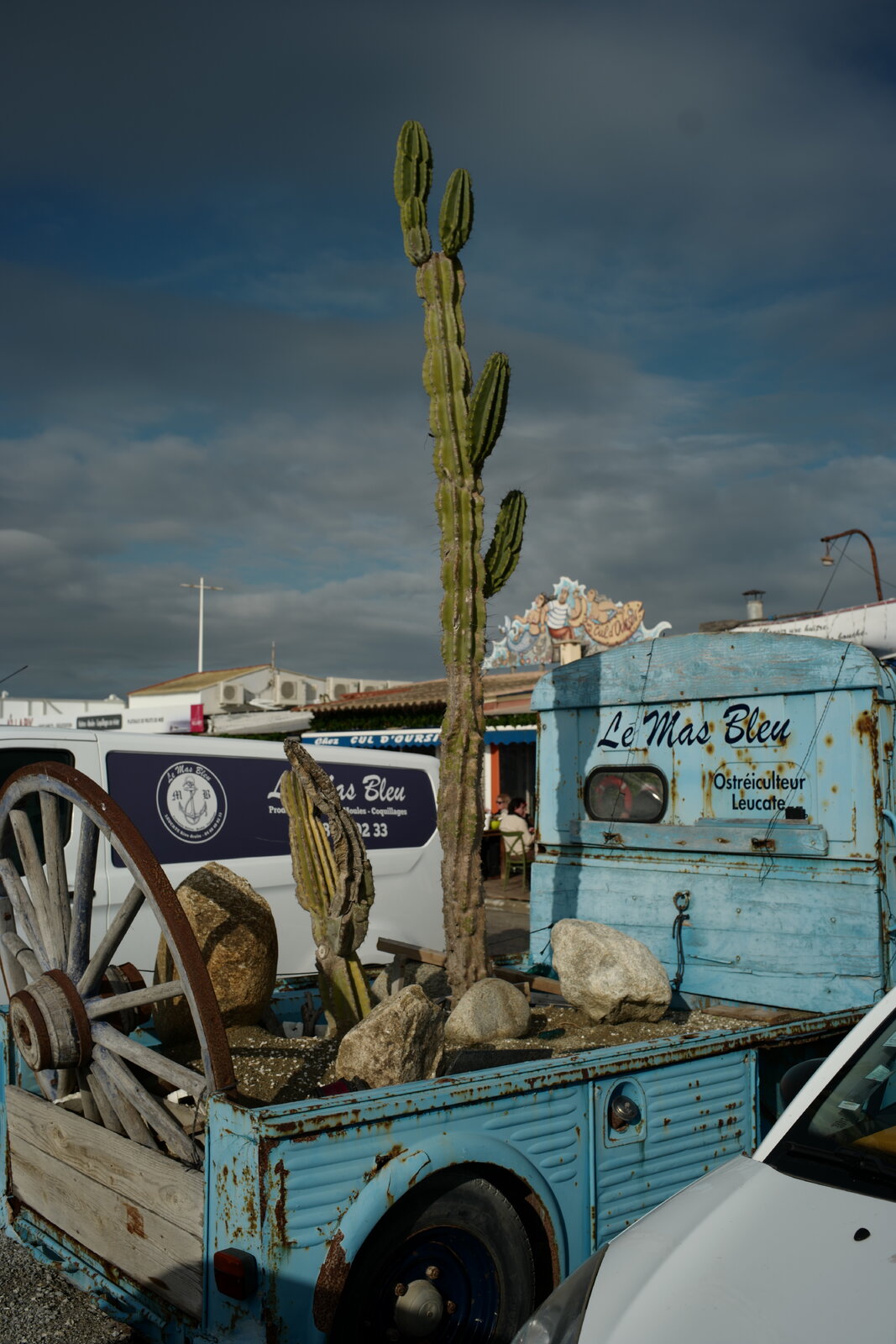 S1050316.JPG
