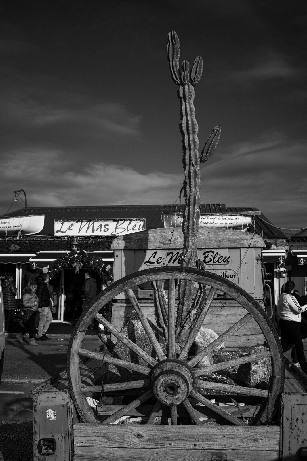 S1050317.jpg