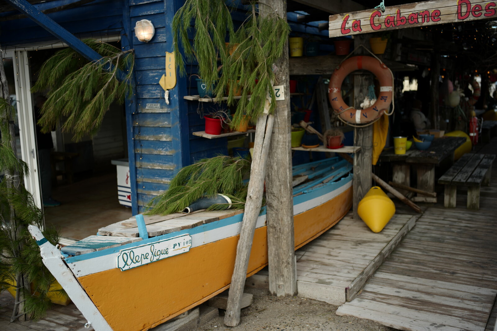 S1050320.JPG