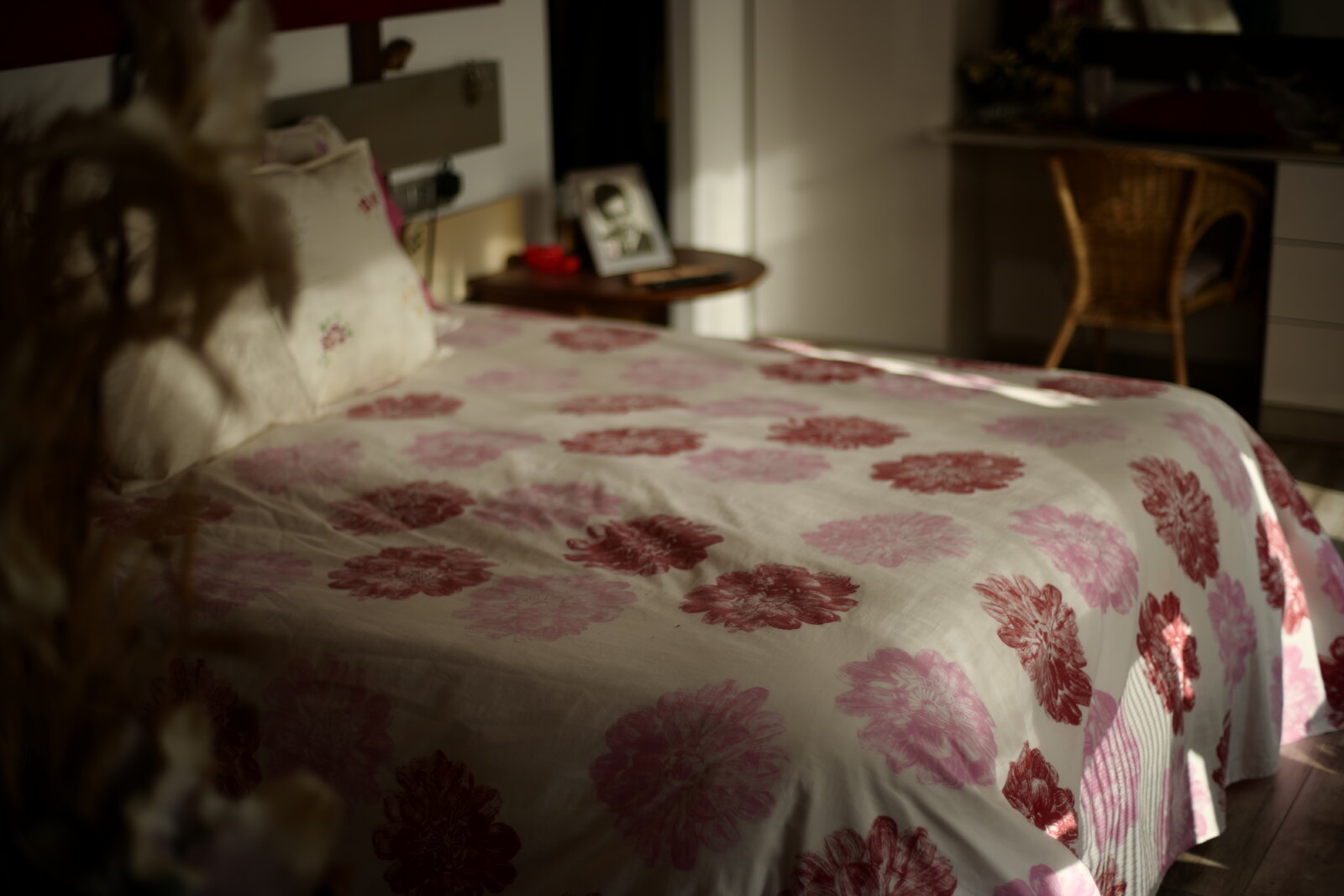 S1050623.JPG