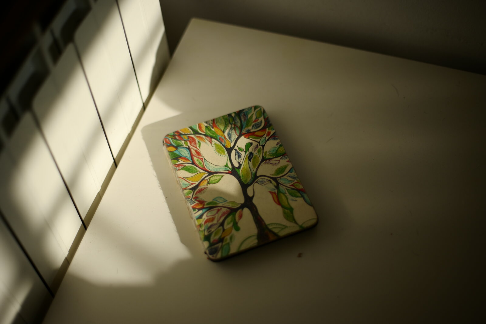 S1050633.JPG