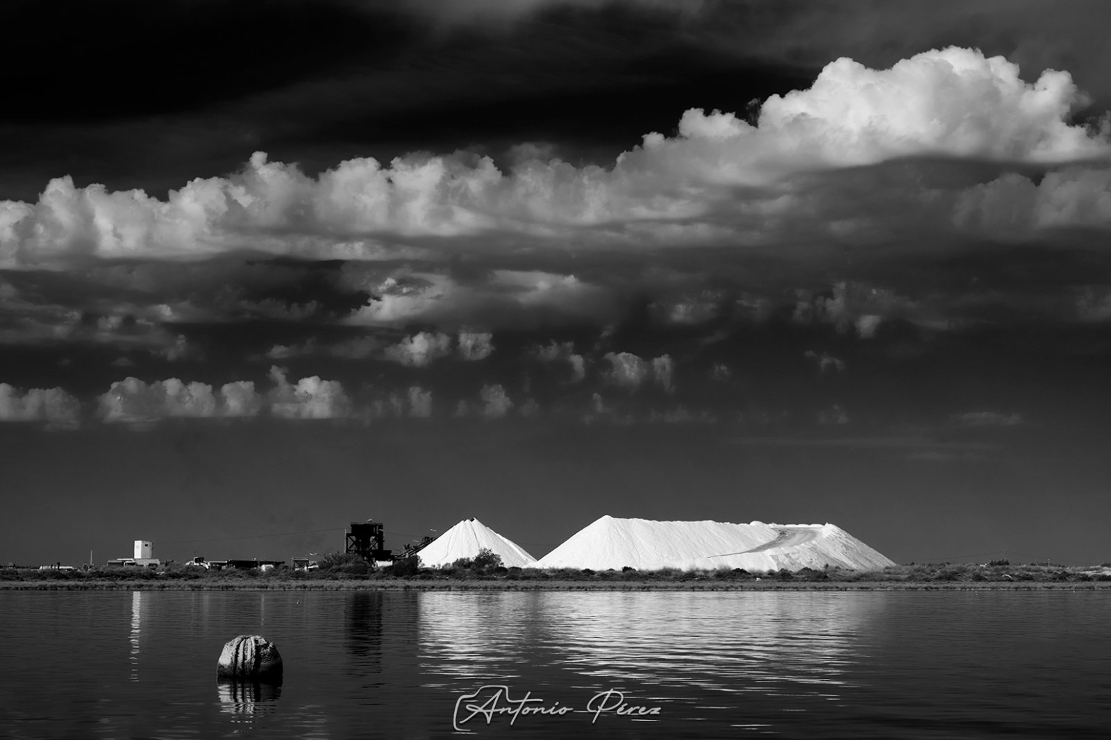 Salinas-(1).jpg