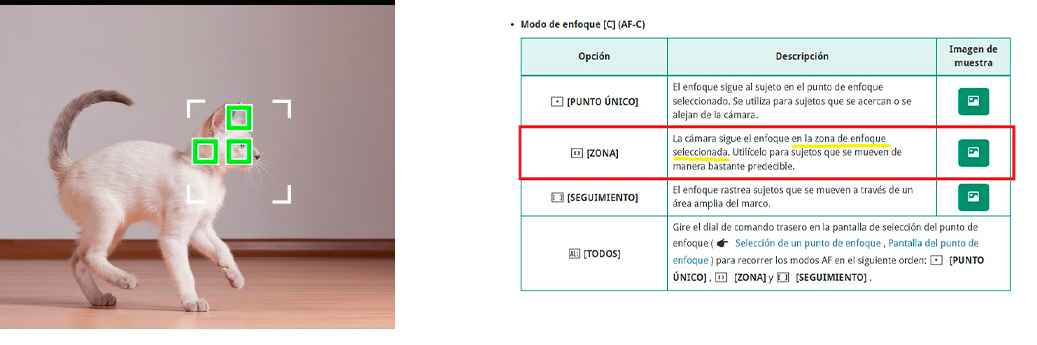 Sin título  3.jpg